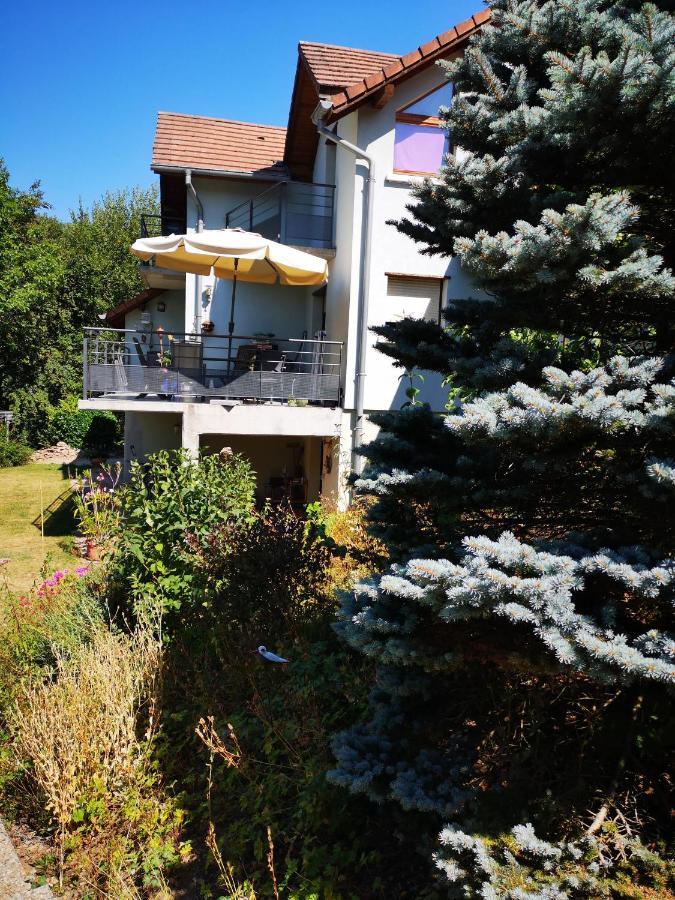 Chene Rouge Villa Lapoutroie Buitenkant foto