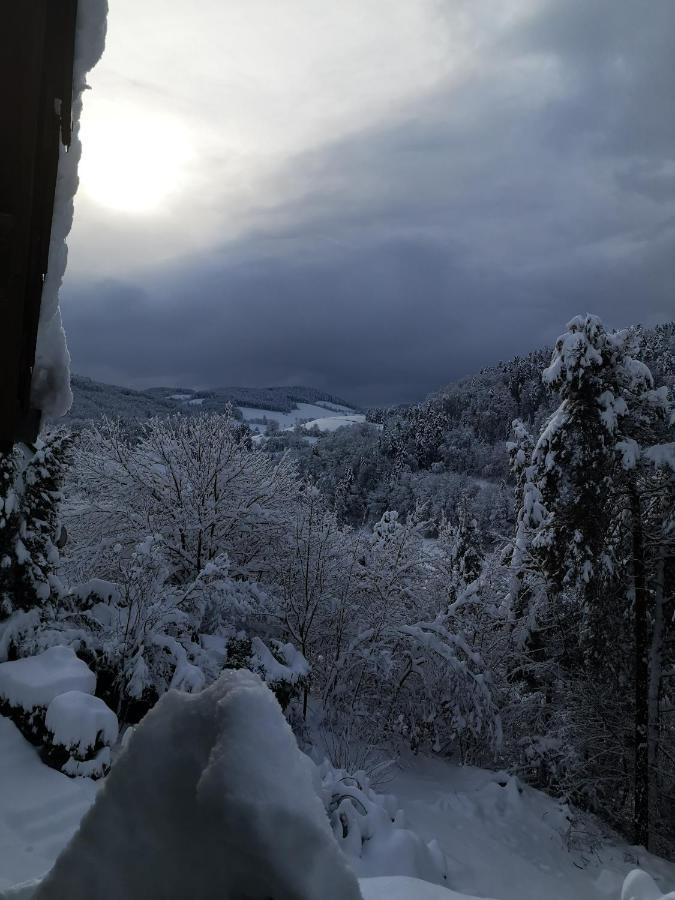 Chene Rouge Villa Lapoutroie Buitenkant foto