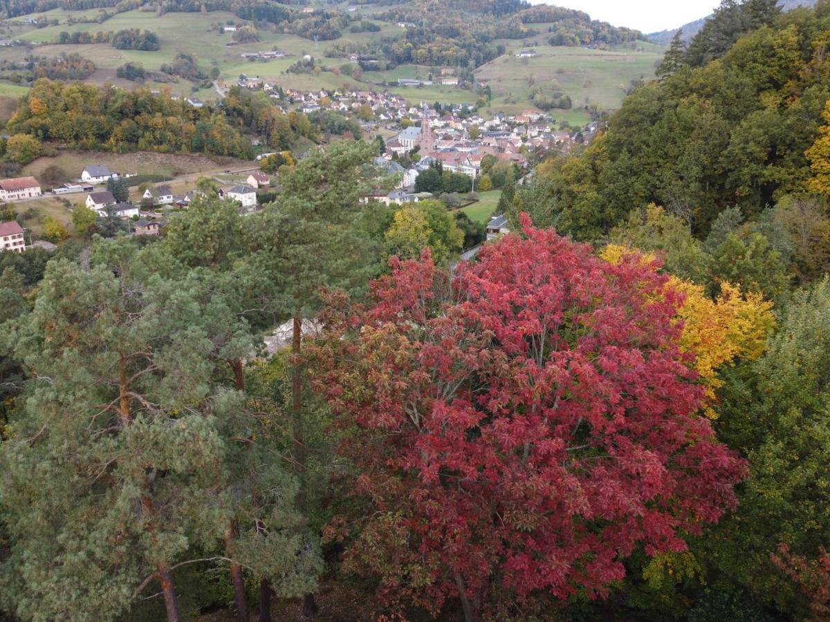 Chene Rouge Villa Lapoutroie Buitenkant foto