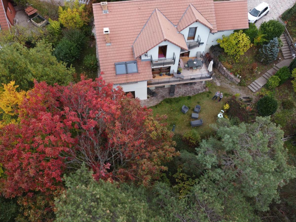 Chene Rouge Villa Lapoutroie Buitenkant foto