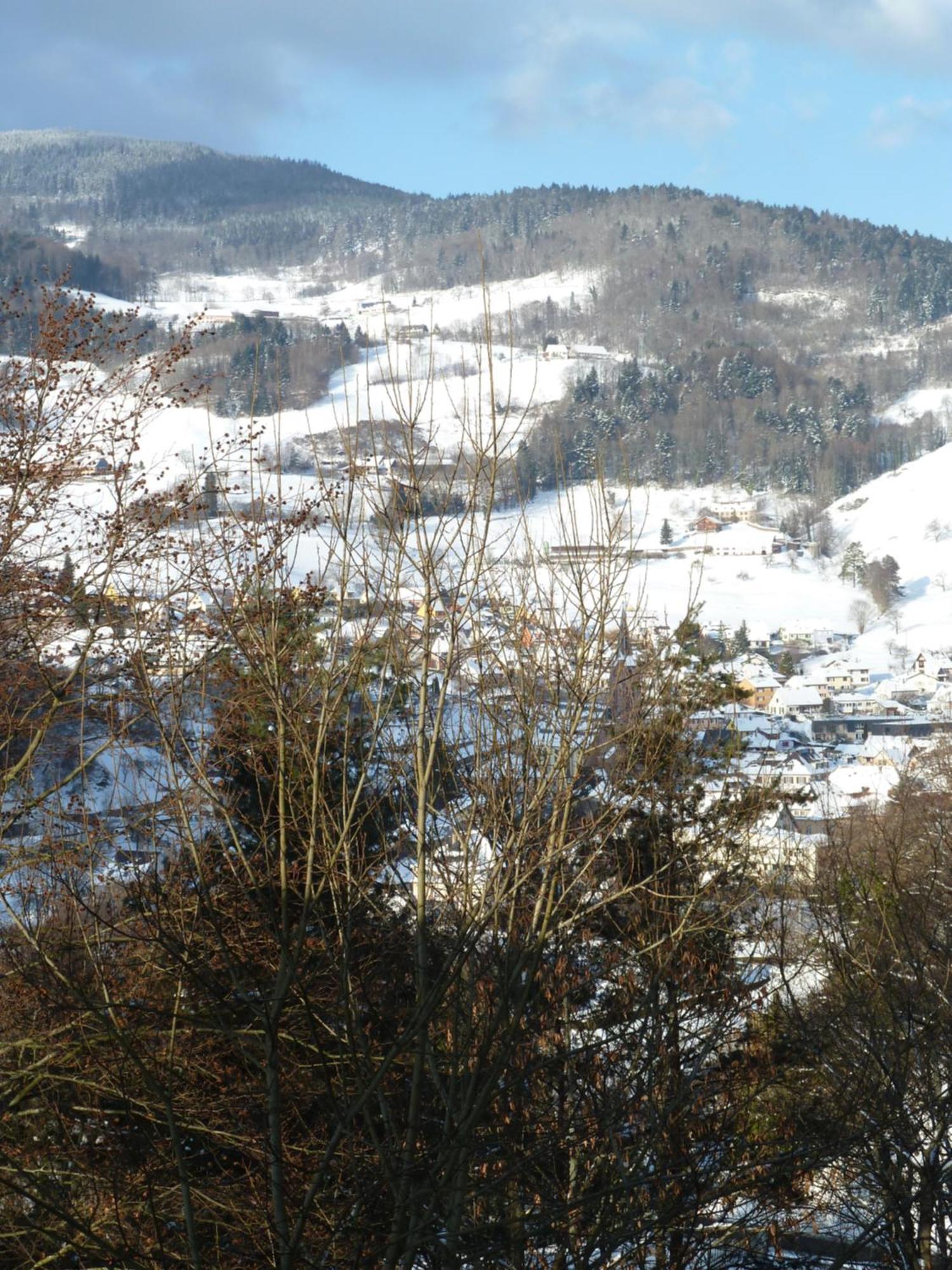 Chene Rouge Villa Lapoutroie Buitenkant foto