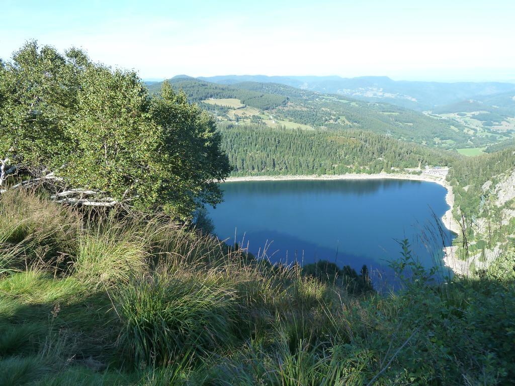 Chene Rouge Villa Lapoutroie Buitenkant foto