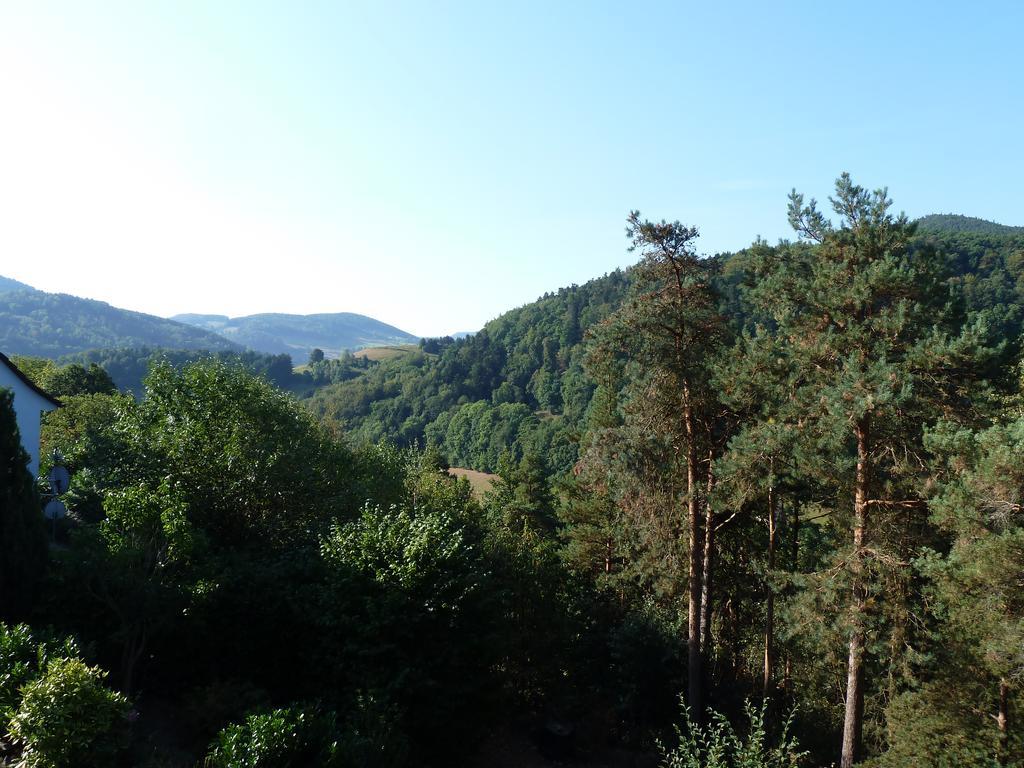 Chene Rouge Villa Lapoutroie Buitenkant foto